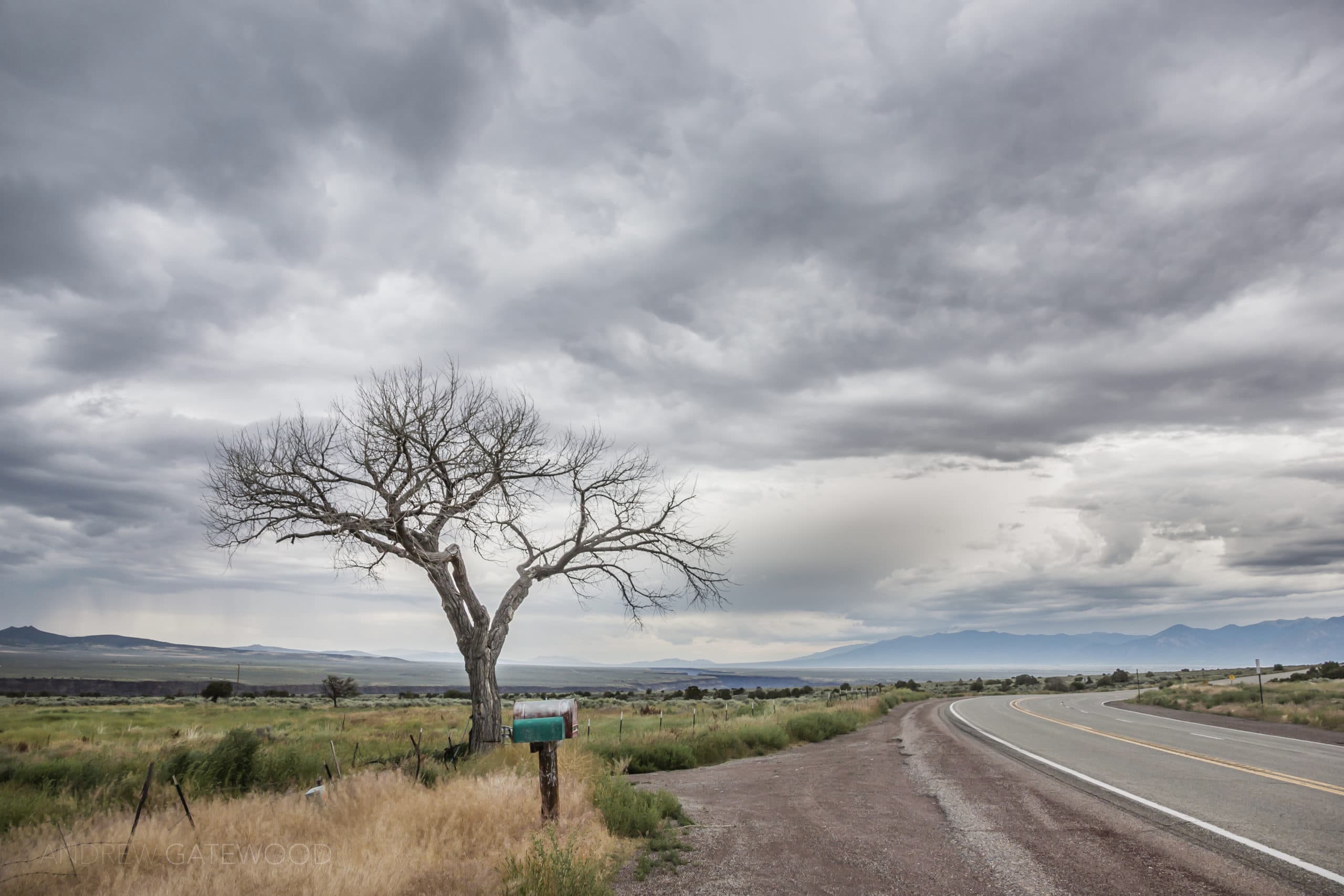 Stormy Taos Tree. Taos, New Mexico. ©AndrewGatewood